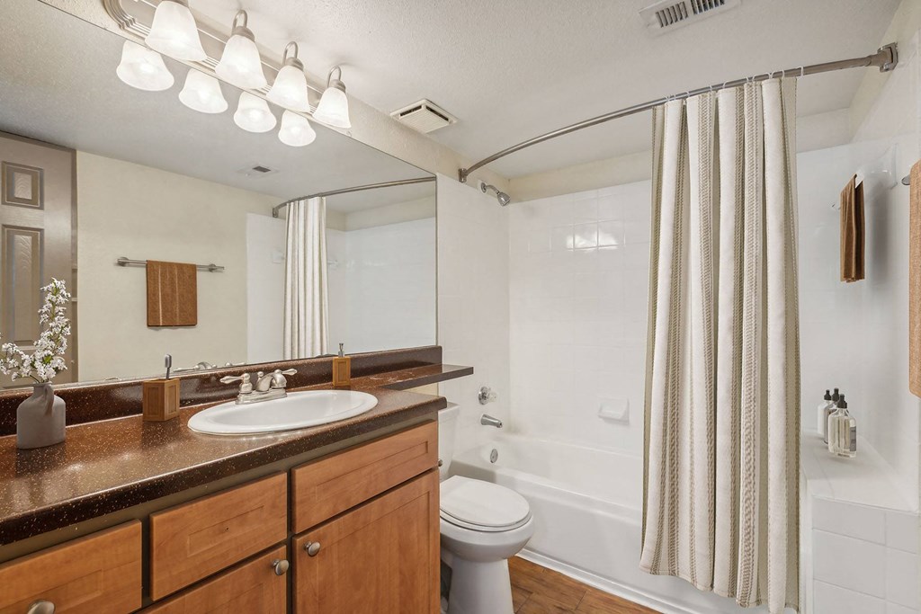 a bathroom with a sink and a toilet and a shower